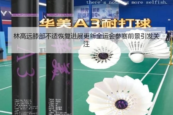 林高远膝部不适恢复进展更新全运会参赛前景引发关注
